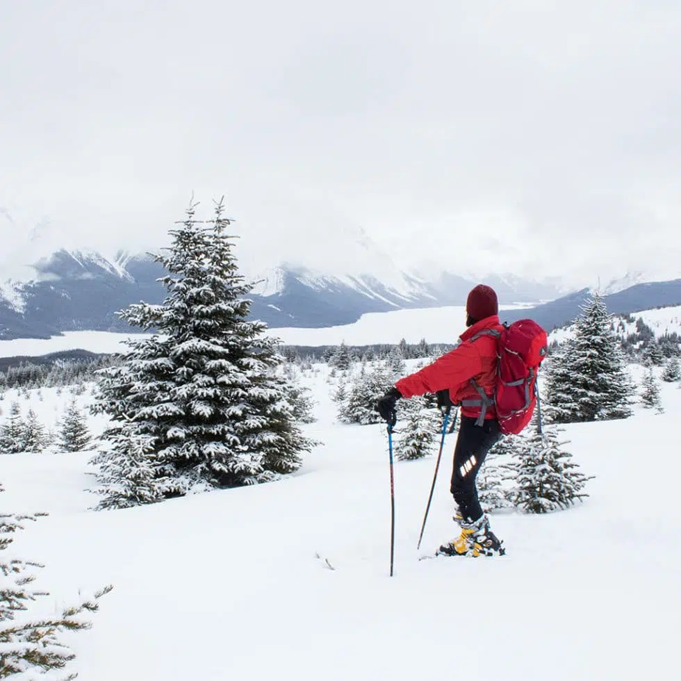 consells-de-seguretat-esqui-de-muntanya-snowlockers-980×980